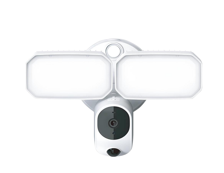 Outdoor smart light